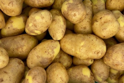 gewassen aardappelen los